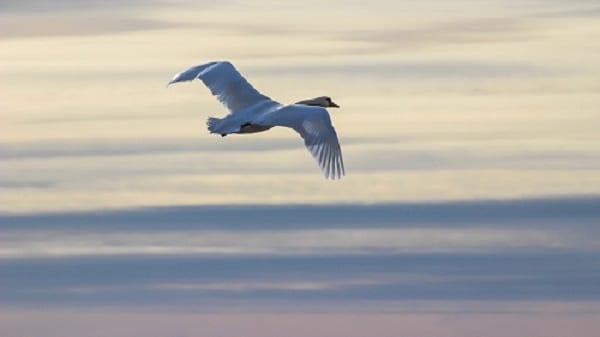 10 Actions for Sisters to Boost Self-Confidence