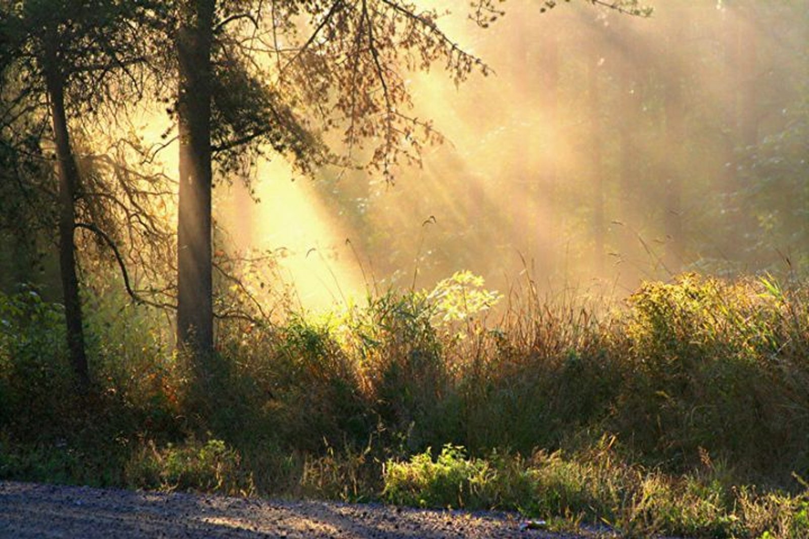 Feature Article: 18 sources of Barakah!