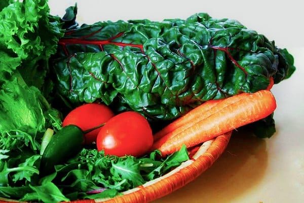 [Productive Hobbies] Your Guide to a Productive ‘First Garden’ Experience (Part 1)