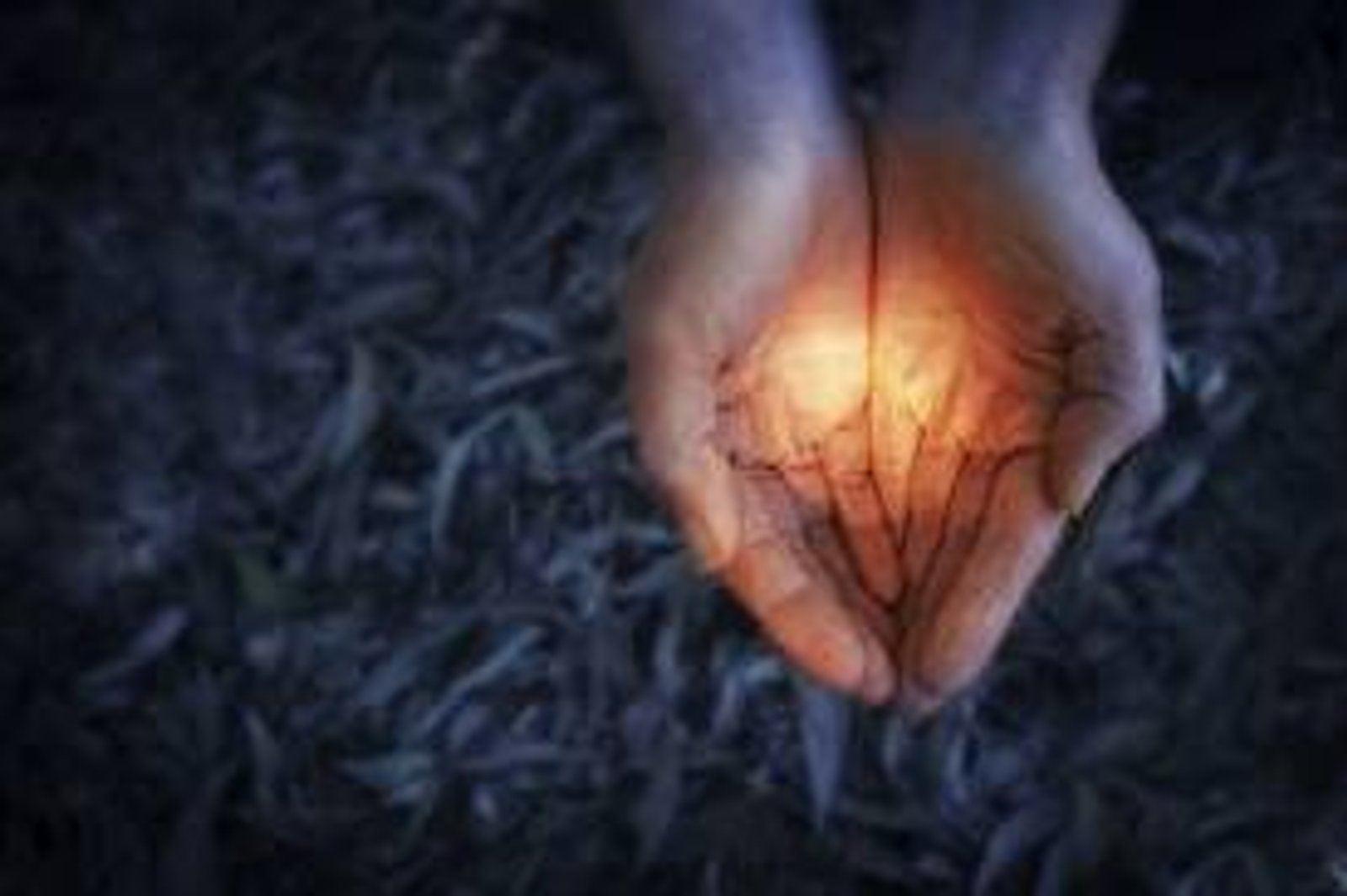 Contentment: A Key to Productivity