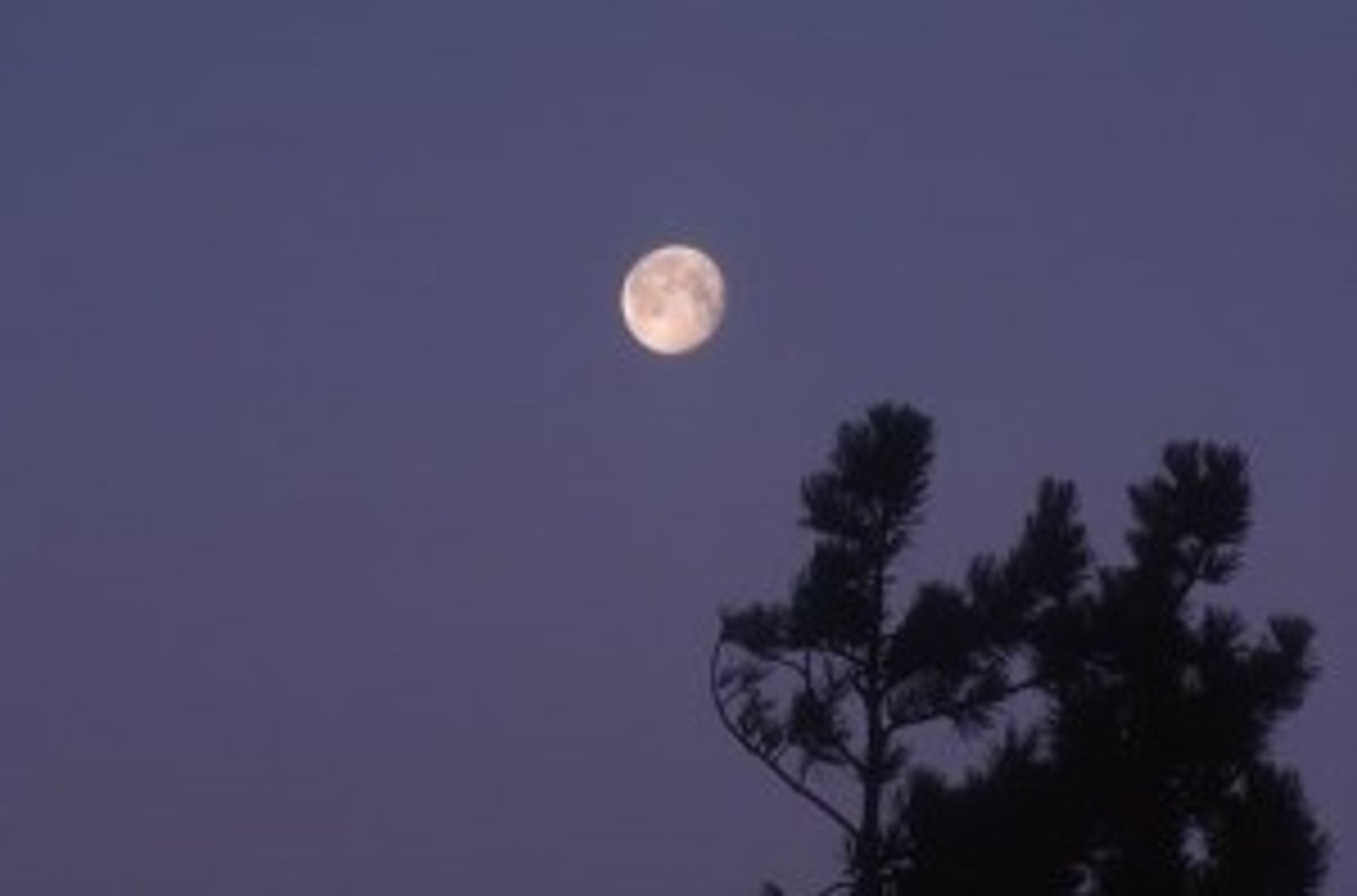 Practical Tips for the Night Prayer (Part 1)