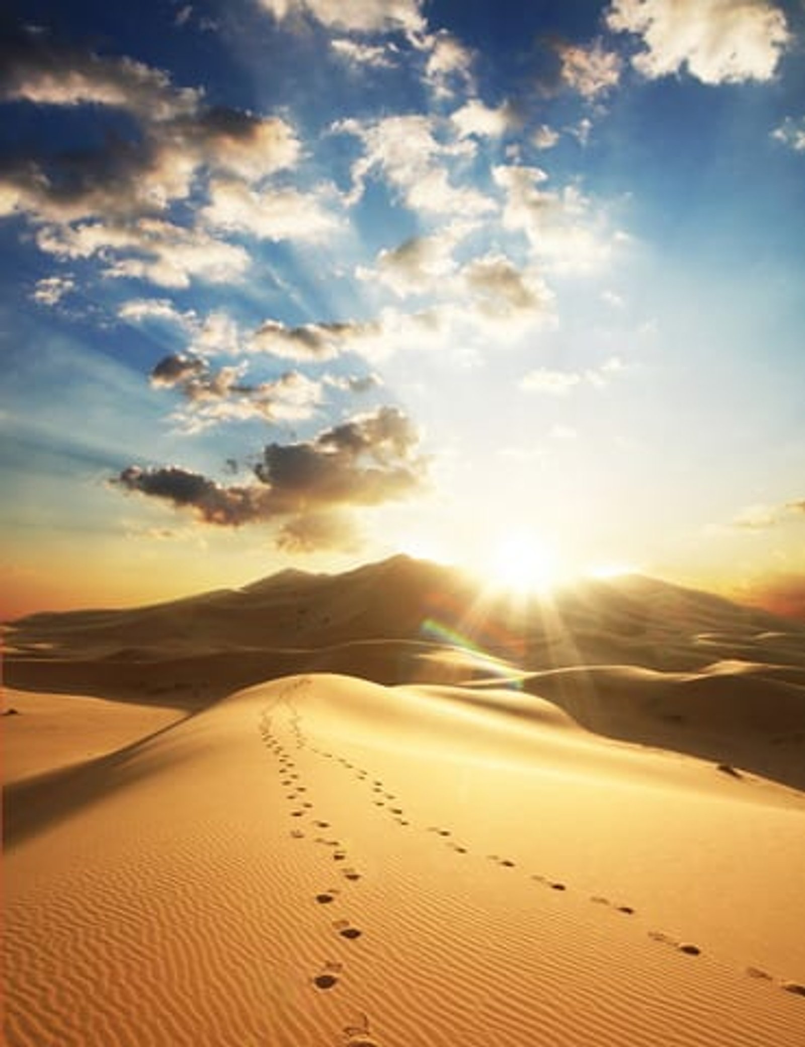 [Ramadan Series] The Ramadan of Our Pious Predecessors
