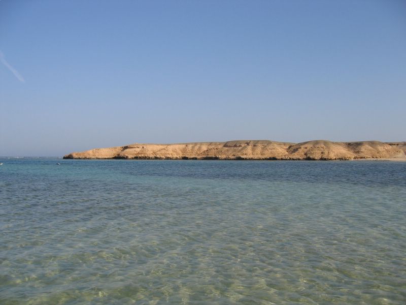 Productivity Lessons from Ashura