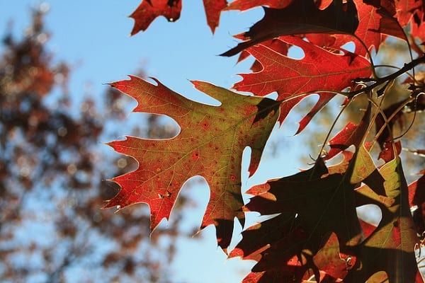 [Aiming for an Awesome Ramadan Series – Part 1] It’s Time To Change Your Life