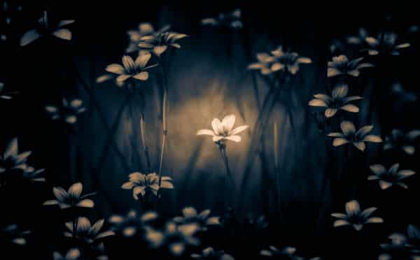 On the Path of Allah: Tips to Remain Steadfast