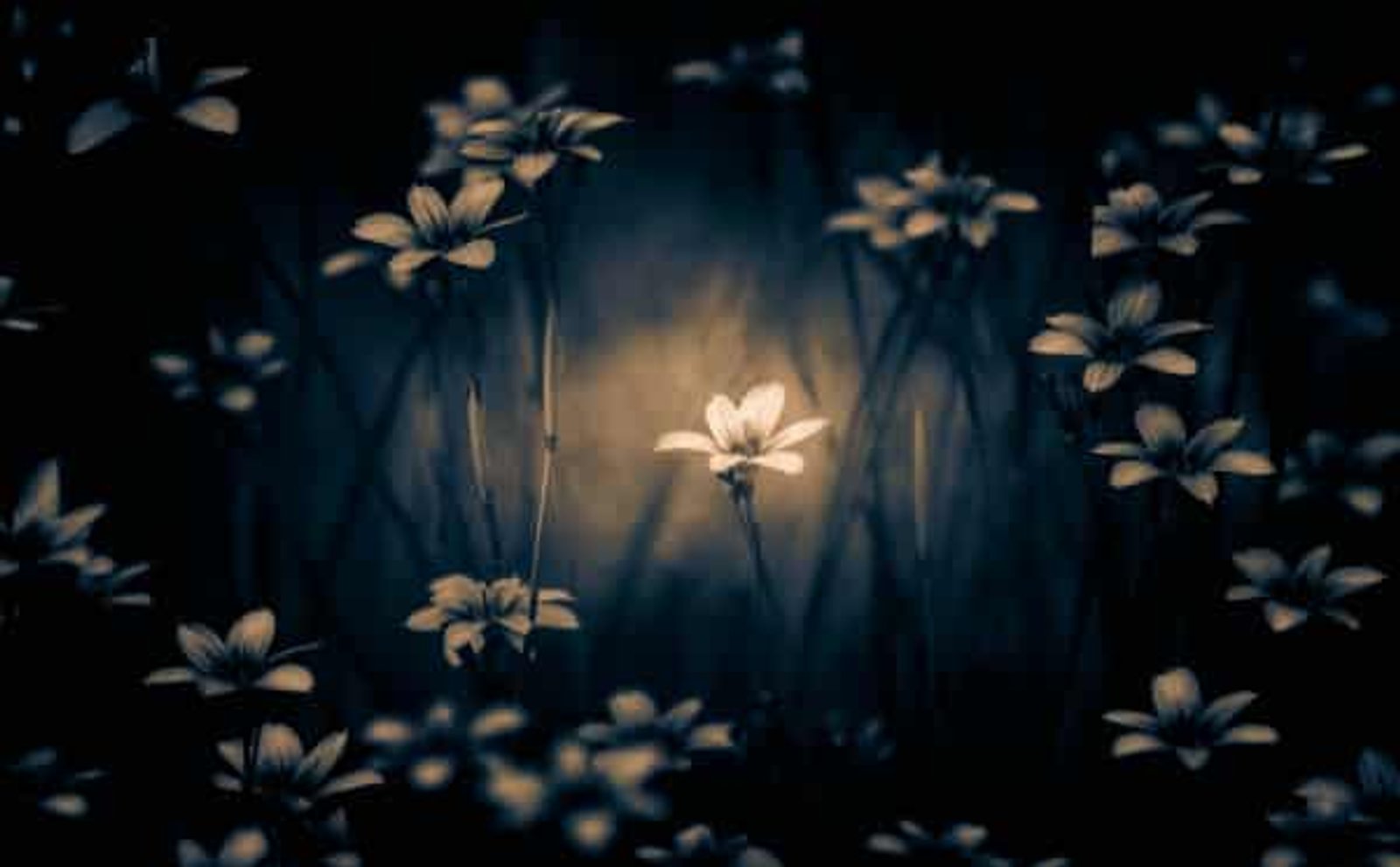 On the Path of Allah: Tips to Remain Steadfast