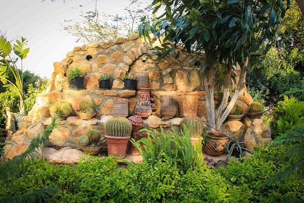 [Productive Hobbies] Vertical Gardening: Take It to New Heights (Part 2)