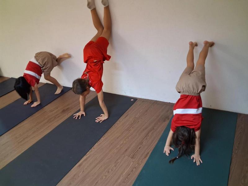 Gymnastics