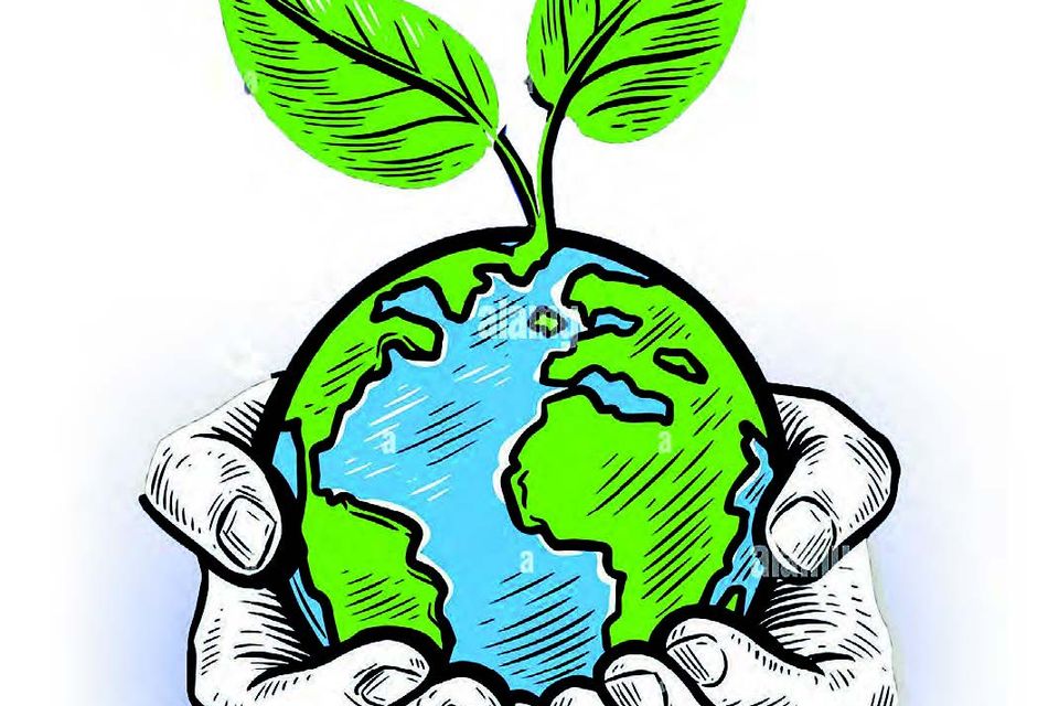 Wednesday: Environmenal Club