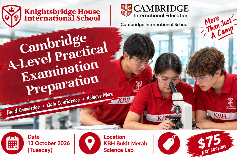 Cambridge A-Level Examination Preparation