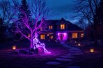 Dark Halloween Aesthetic: 14 Moody Elevated Designs That Are Scary Chic