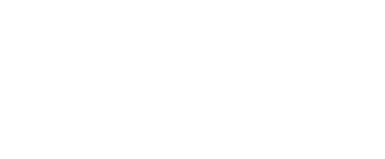  Capital One logo