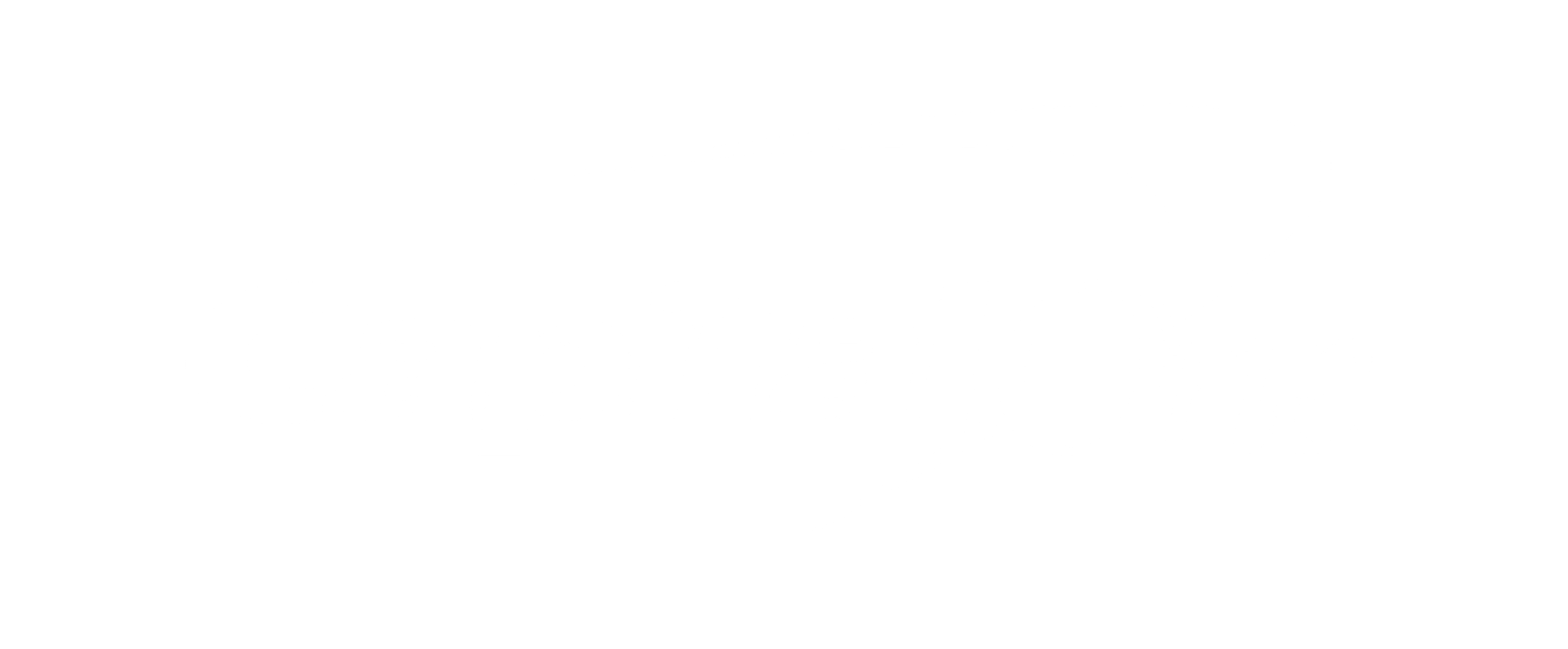  Capital One logo