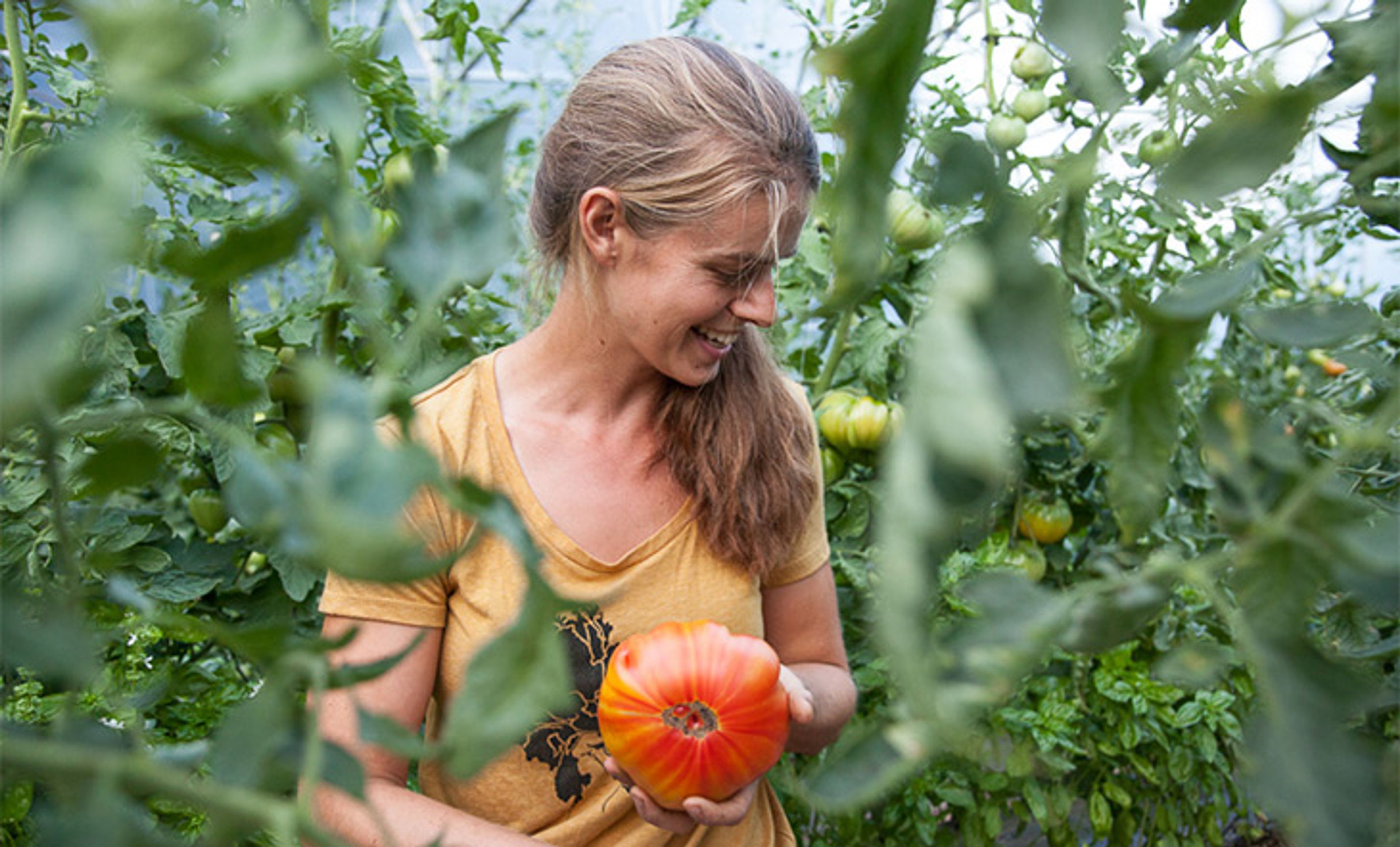 Photo: Moon Valley Farm