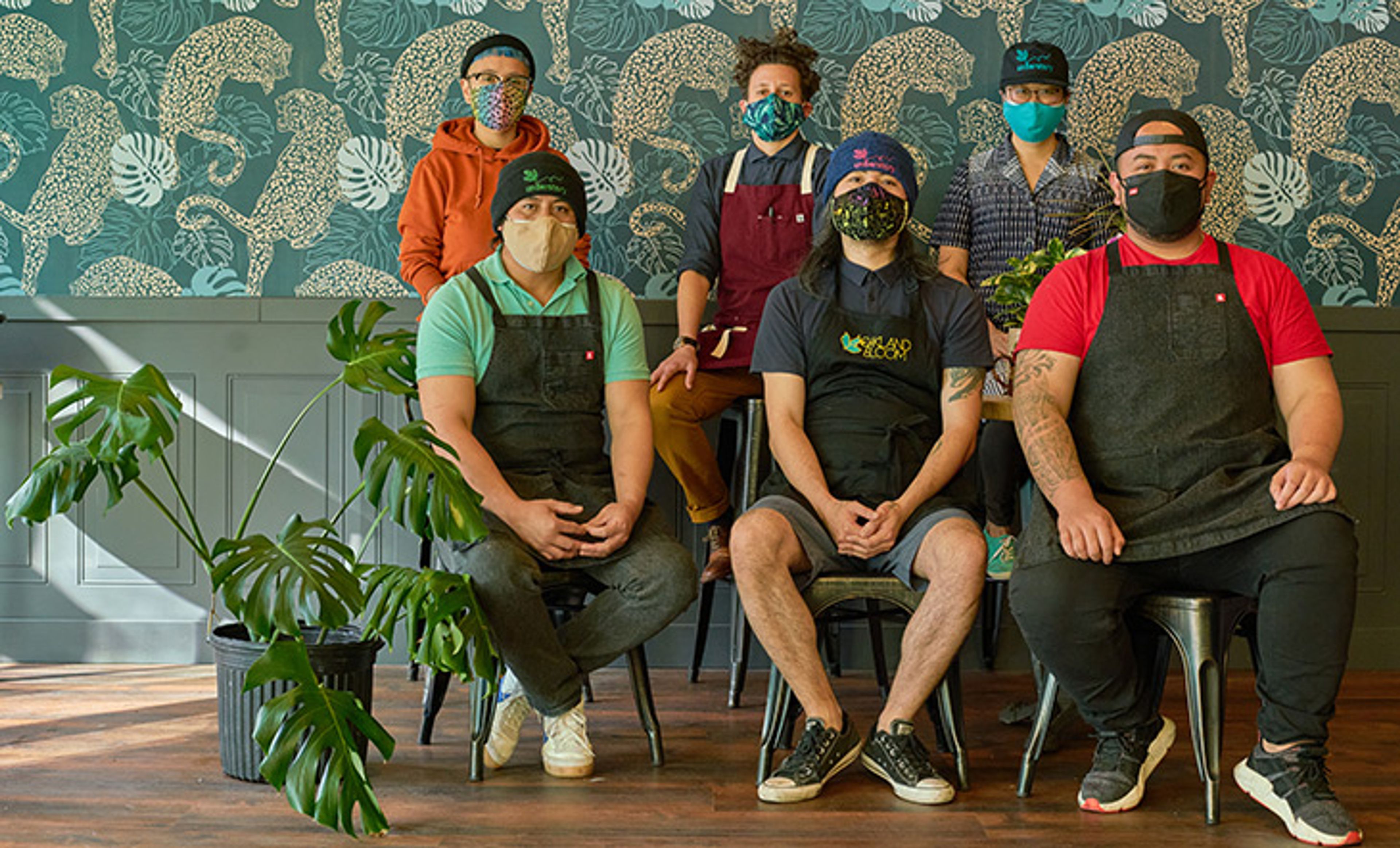 Image of worker-owners of Understory in Oakland, CA. There are six people sitting in chairs in front of a flower wall 