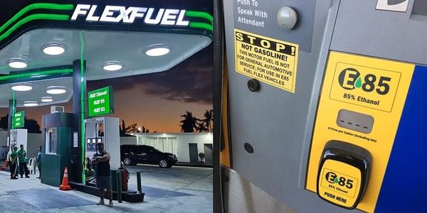 Are Flex-Fuel Vehicles the solution to contain the rising emission problems?