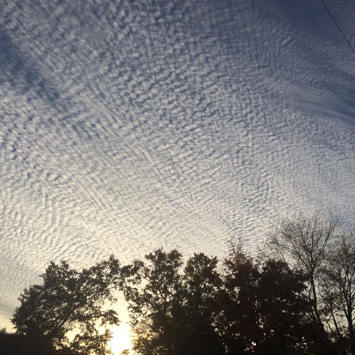 ☁️ Cirrus Secrets: What High Clouds Reveal Before Weather Strikes - Aviation