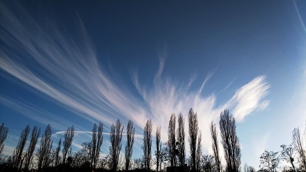 ☁️ Cirrus Secrets: What High Clouds Reveal Before Weather Strikes - Aviation