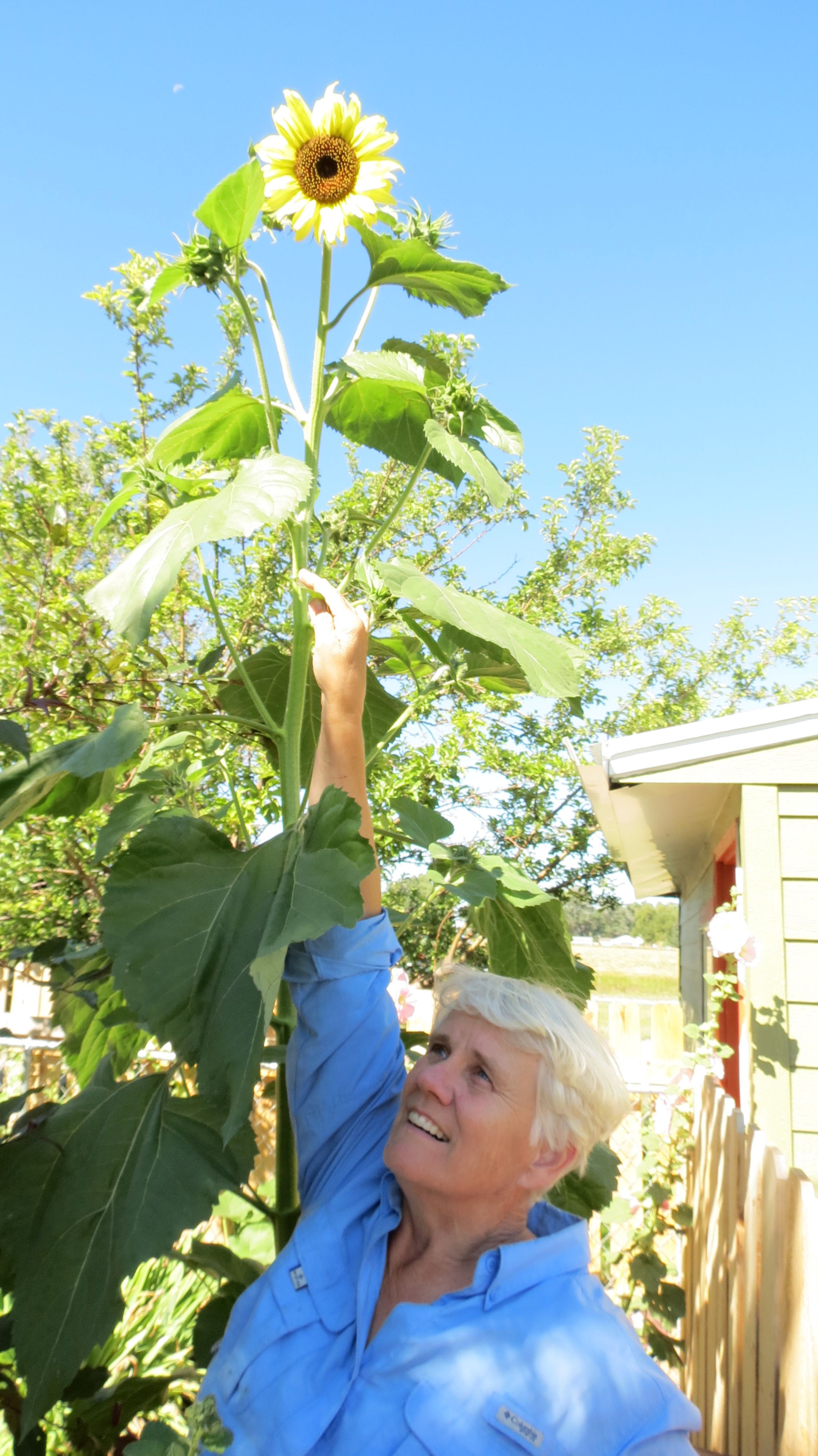 The Gardener in Chief