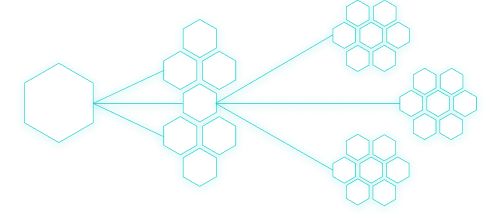 Networks Connecting Outline