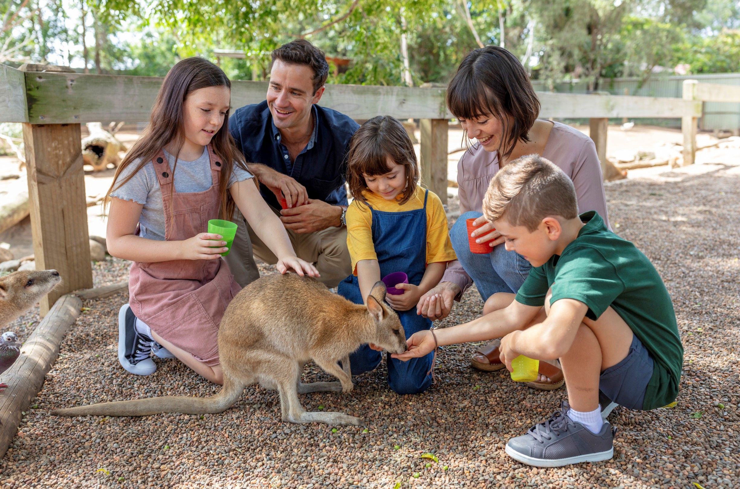 Sydney Wildlife Center