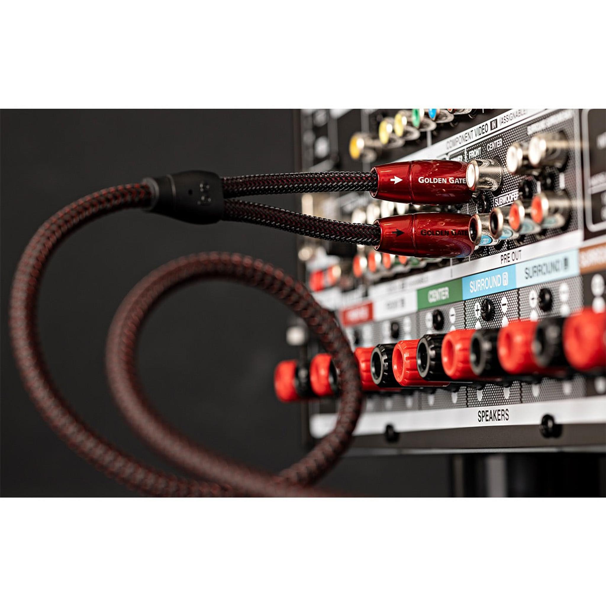 AudioQuest Golden Gate RCA to RCA Analog Interconnect Cable - 0.6 meters thumbnail 4