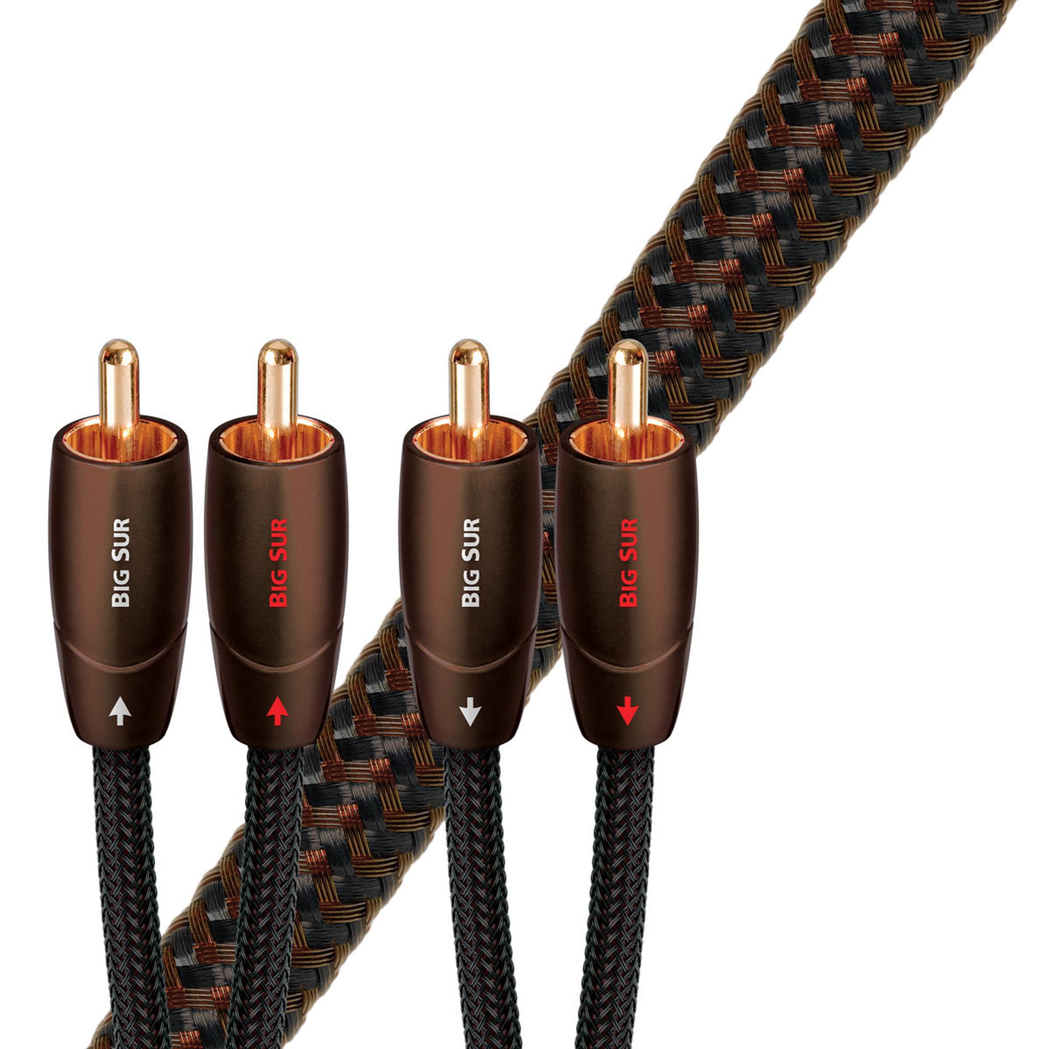 AudioQuest Big Sur RCA Male to RCA Male - 1.97 ft. (.6m) - Image 1