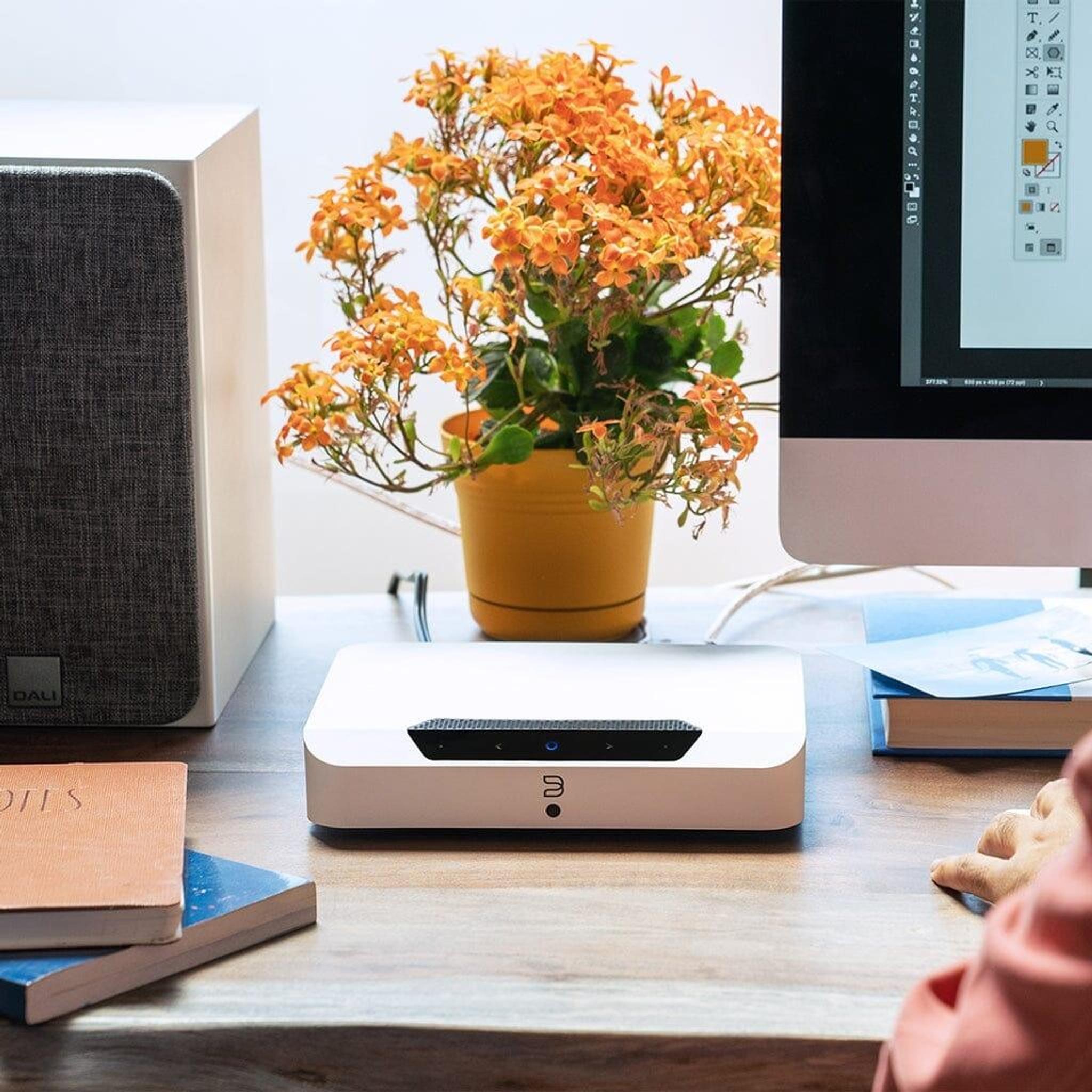 Bluesound Powernode Edge Streamer and Amplifier thumbnail 9
