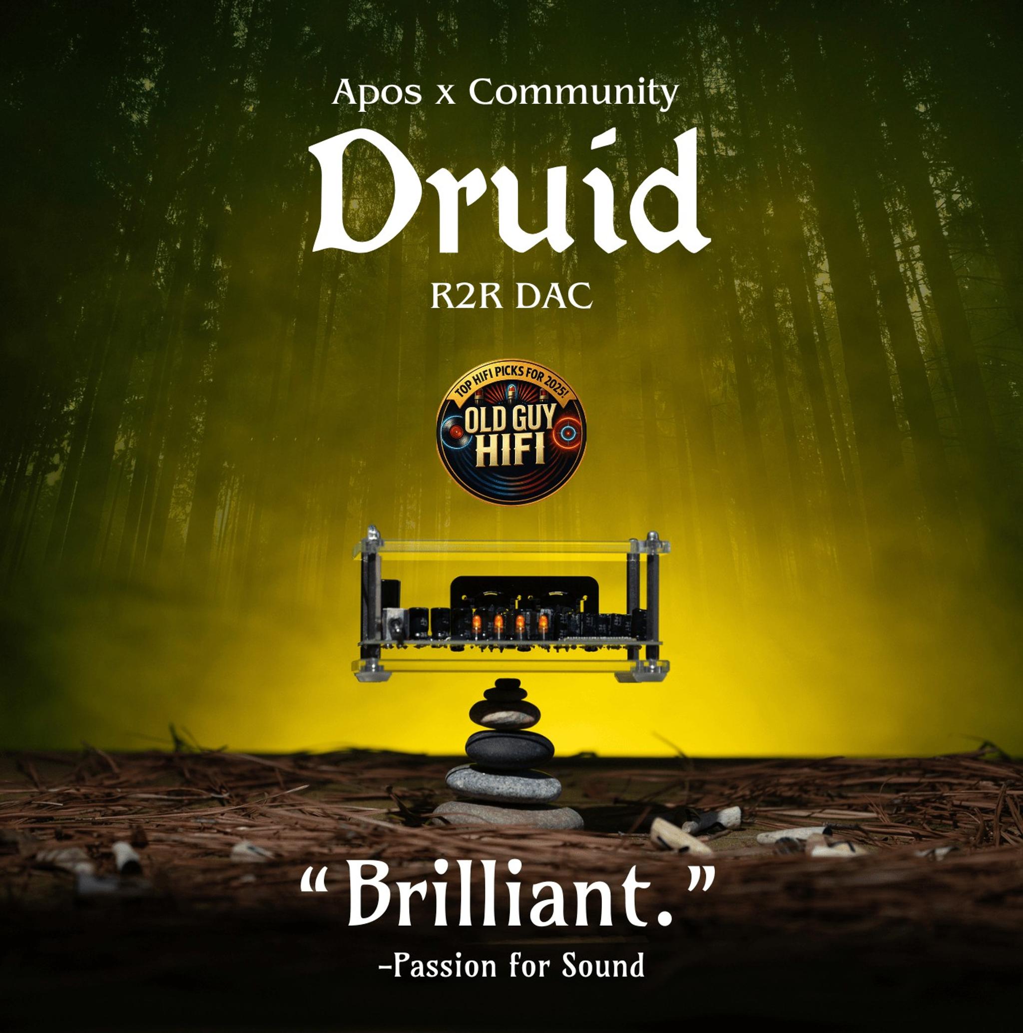 Apos x Community Druid R2R DAC thumbnail 2