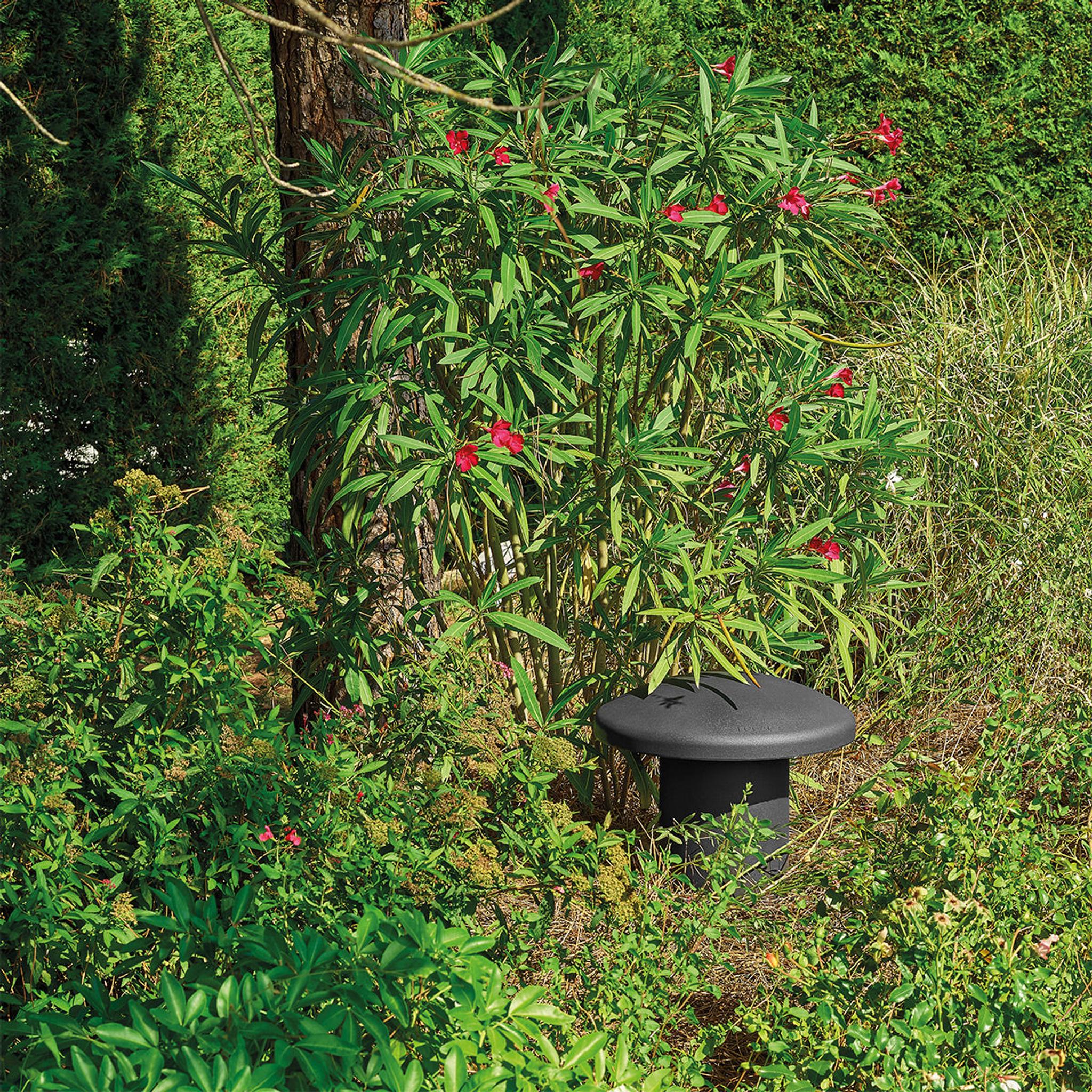 Focal Littora 4.1 Channel Outdoor Speaker Bundle (Dark) thumbnail 17