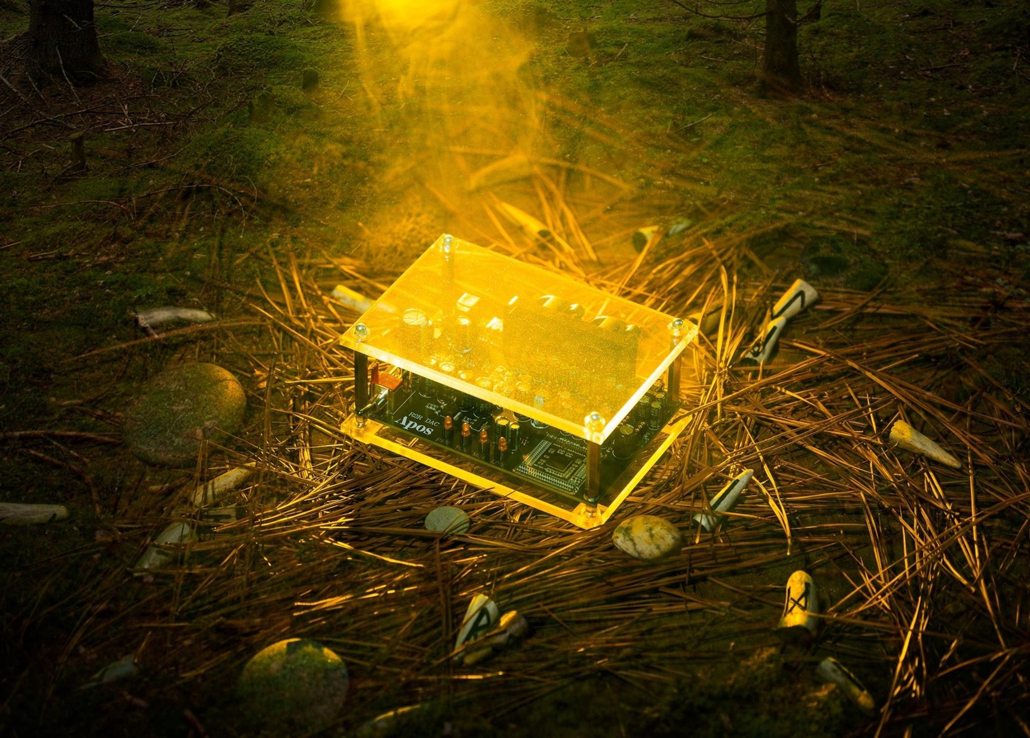 Apos x Community Druid R2R DAC thumbnail 4