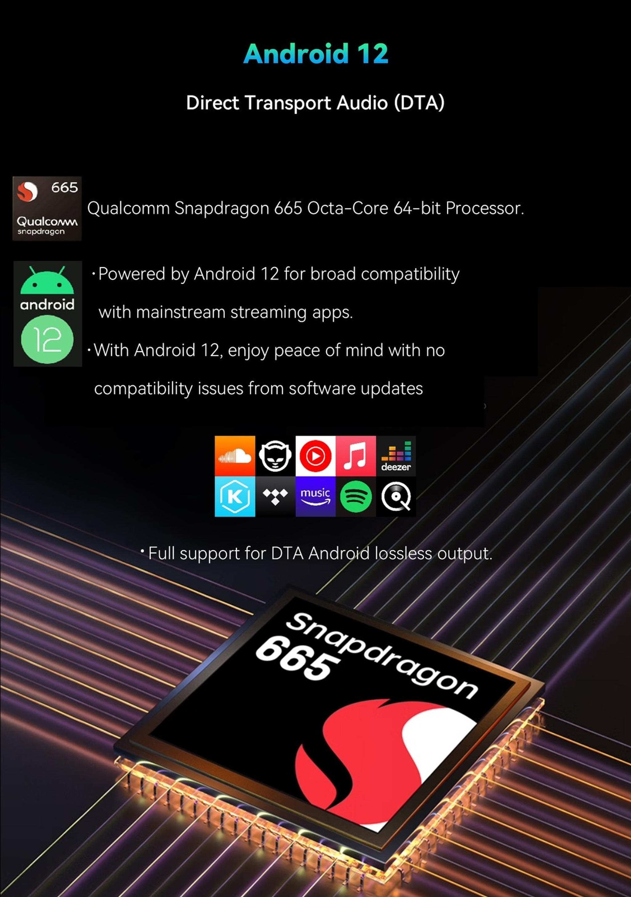 Cayin N6iii Digital Audio Player thumbnail 7