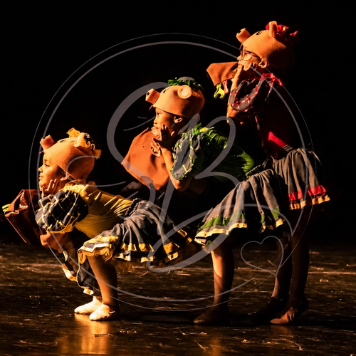 Tres Porquinhos - Ballet Infantil