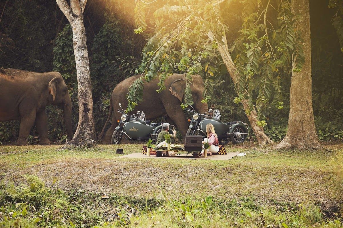 Golden Triangle Resort photo 5