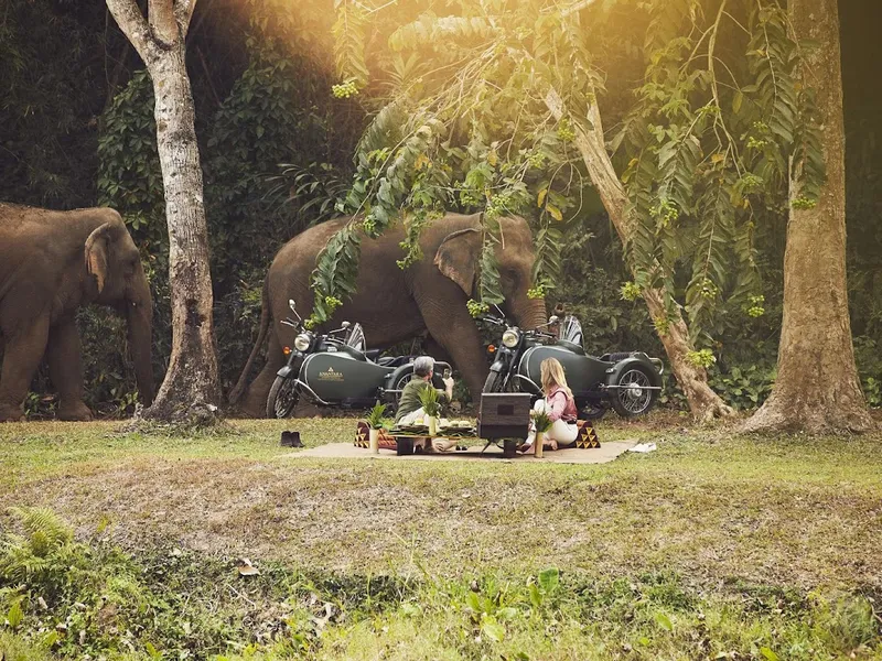 Golden Triangle Resort photo 5