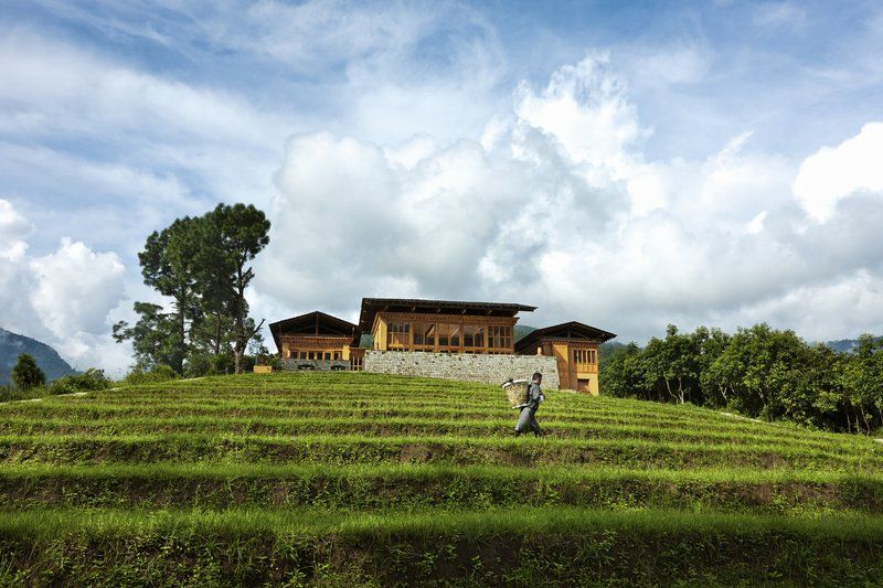 COMO Uma Punakha Hotel photo 6