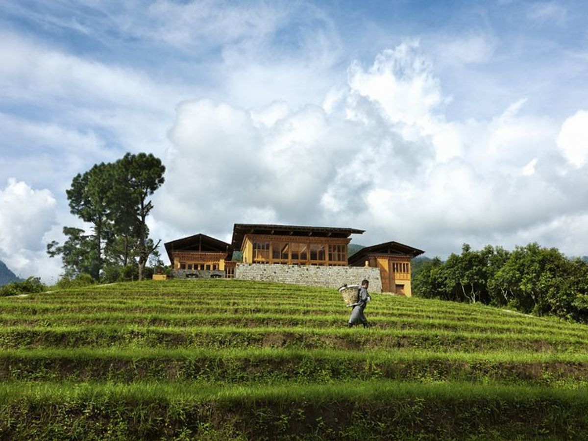 COMO Uma Punakha Hotel photo 6