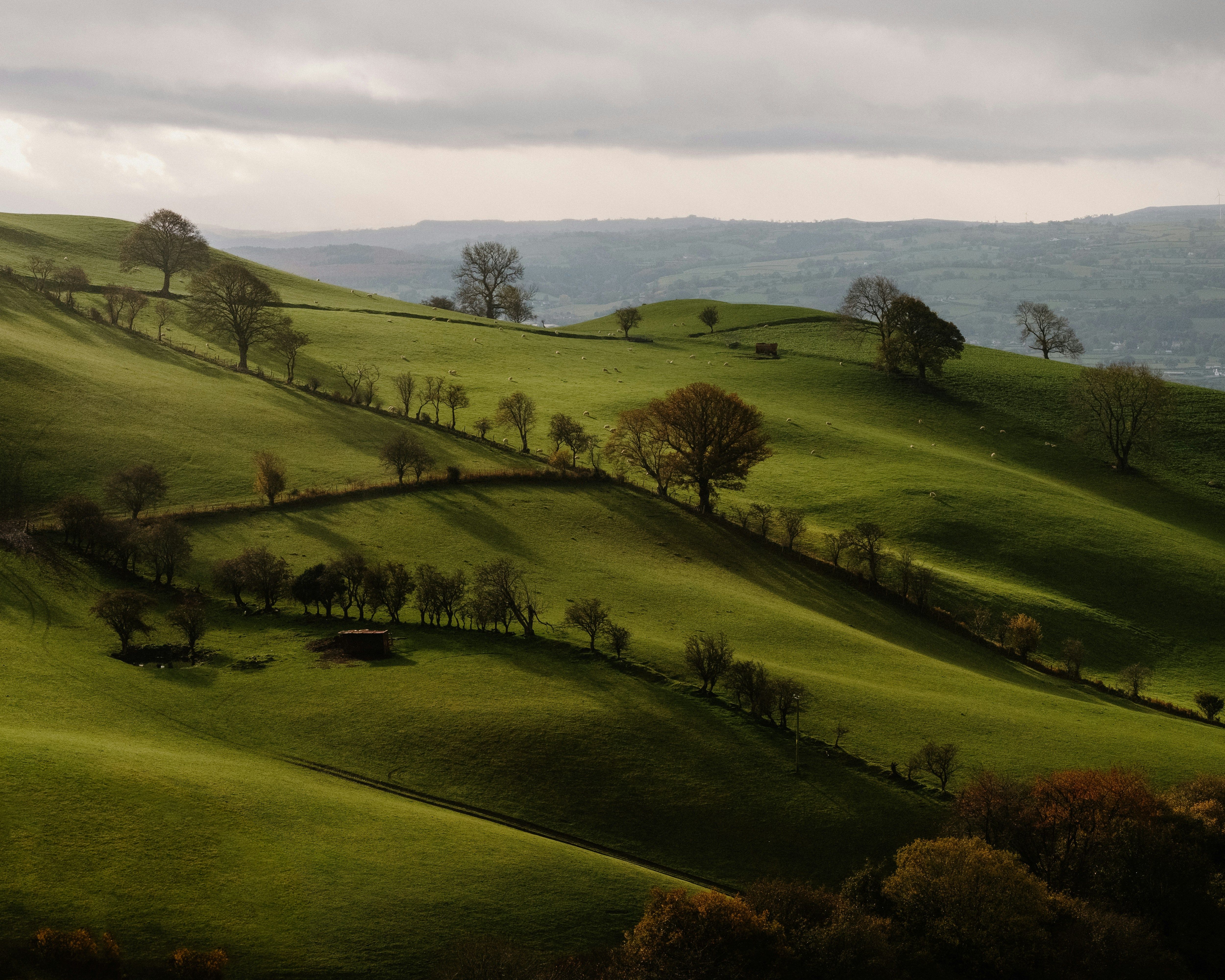 Hotels in Wales