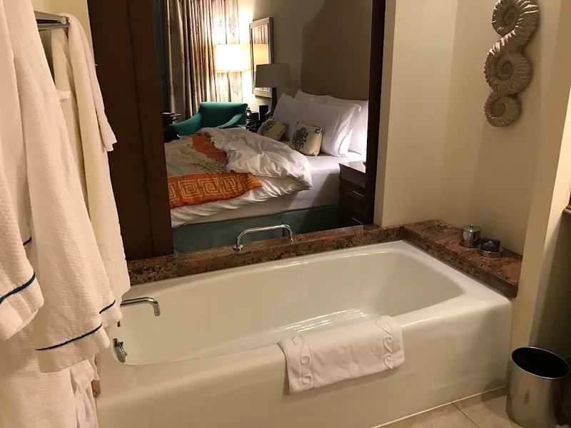 The Palm Resort photo 4