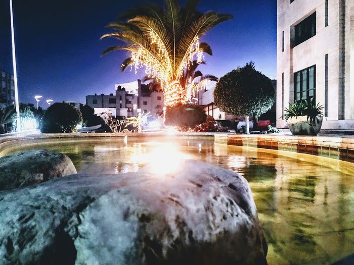 Hotels in Palestine