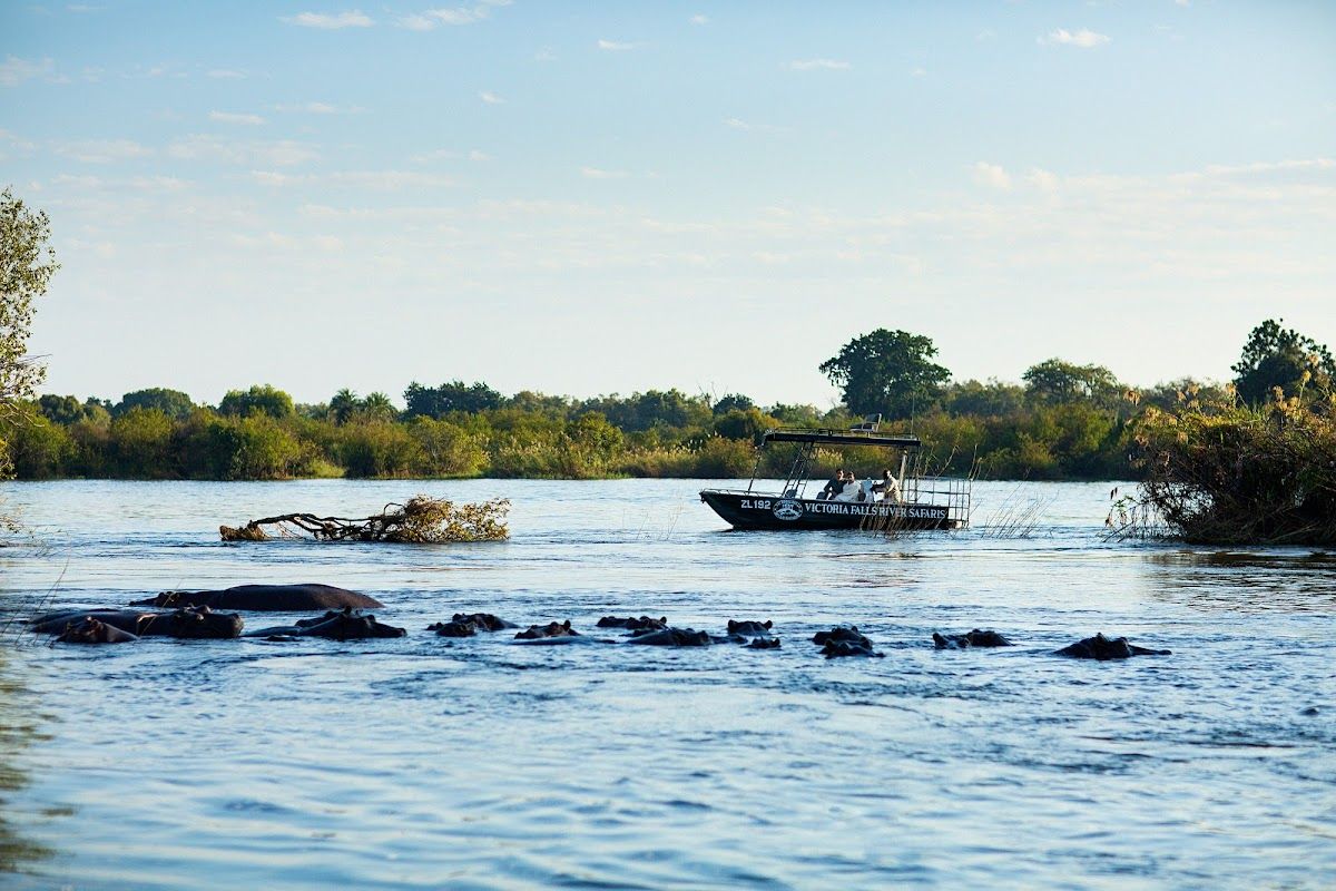 Royal Livingstone Hotel photo 6