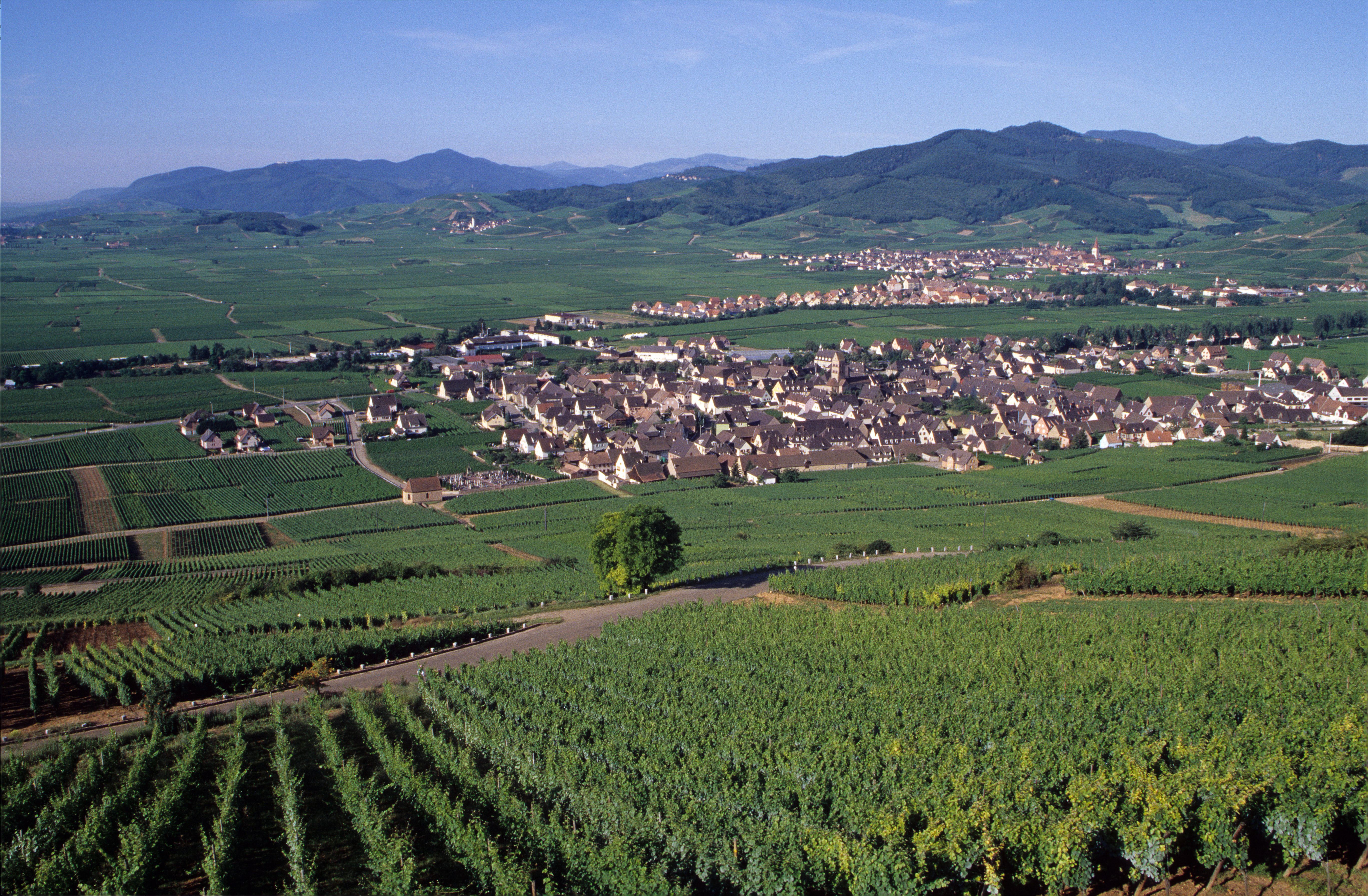 Hotels in Burgundy