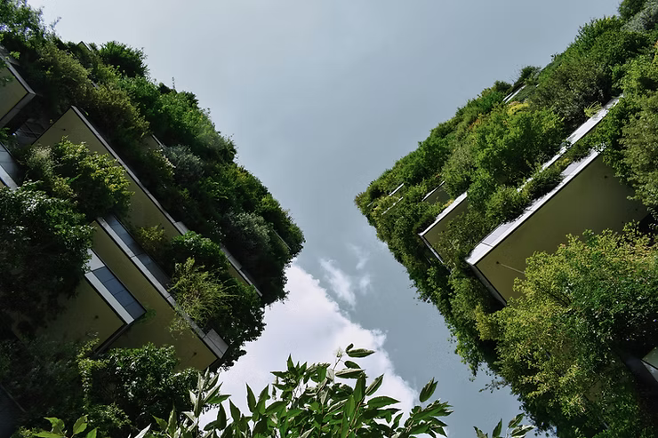 Eco-Friendly Escapes | Sustainable Hotels for Your UK Staycation