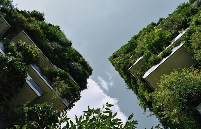 Eco-Friendly Escapes | Sustainable Hotels for Your UK Staycation
