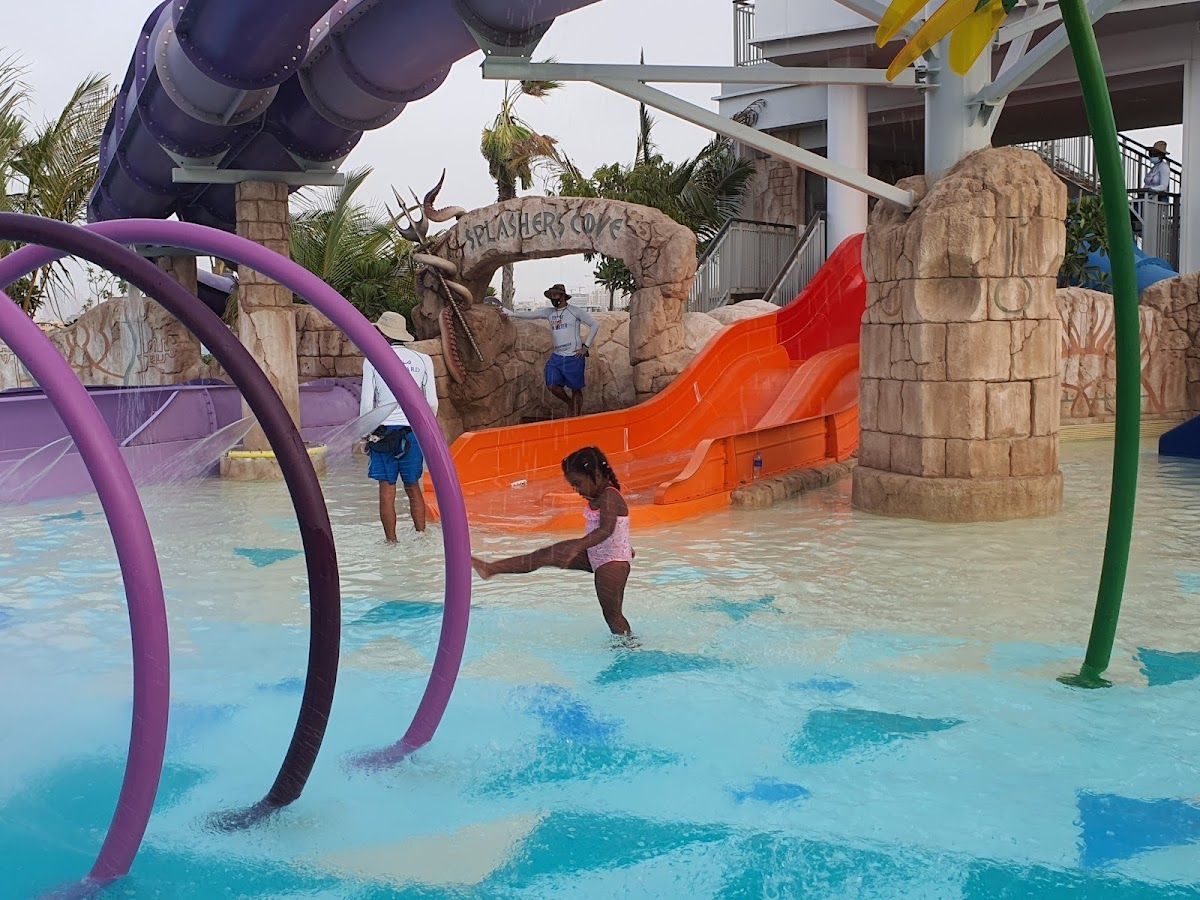 The Palm Resort photo 5