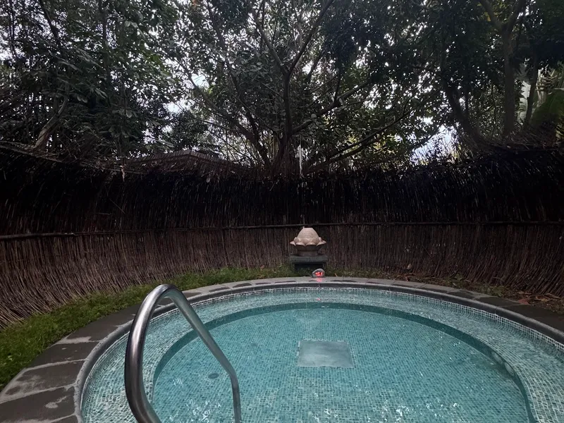 Dusit Devarana Hot Springs & Spa Conghua photo 5