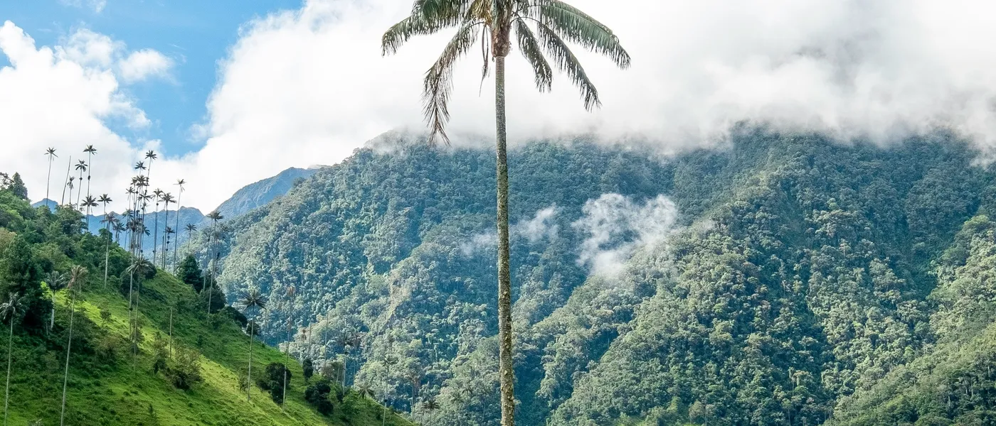 Colombia