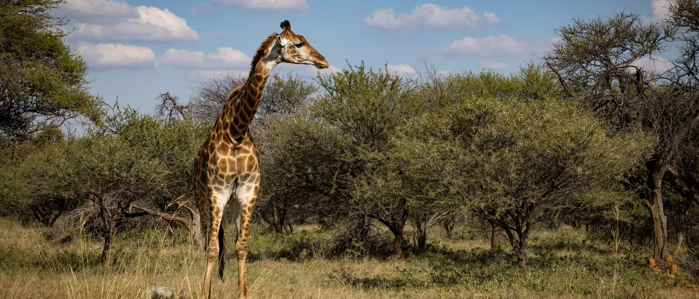 Botswana