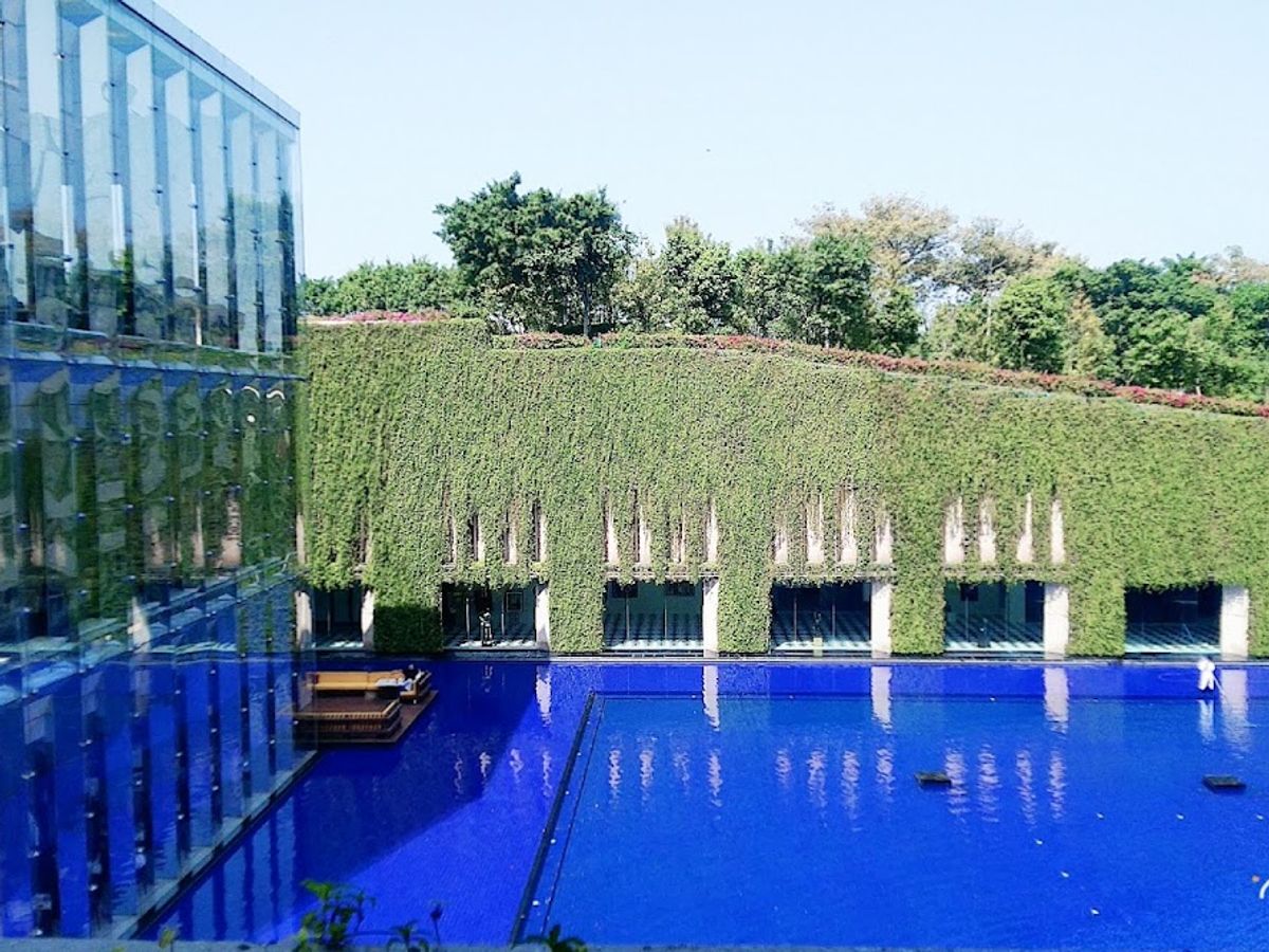 The Oberoi, Gurgaon photo 3