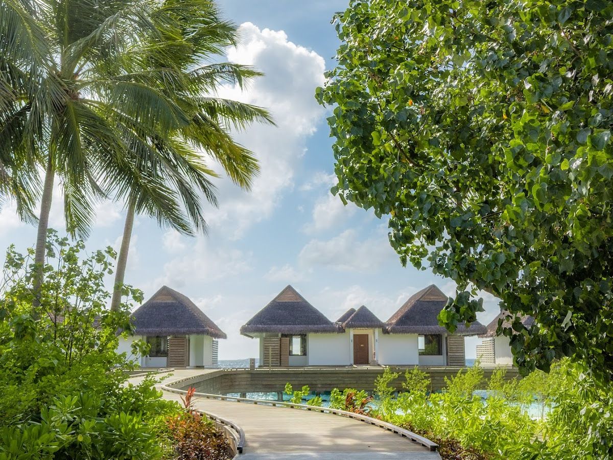 dusitD2 Feydhoo Maldives photo 1